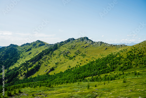 Green mountain scenery with vivid green mountainside with conifer forest and big crags under clear blue sky. Coniferous trees and big rocks on hillside. Scenic landscape with big stones on steep slope