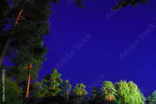 christmas tree and stars