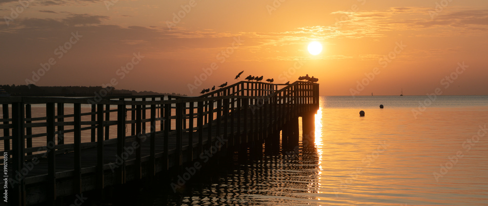 panoramic sea side view with golden light and gulls on a pier at sunrise