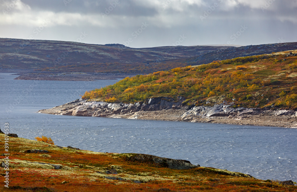 Lake with vegetation in the tundra in autumn. Kola Peninsula, Russia.