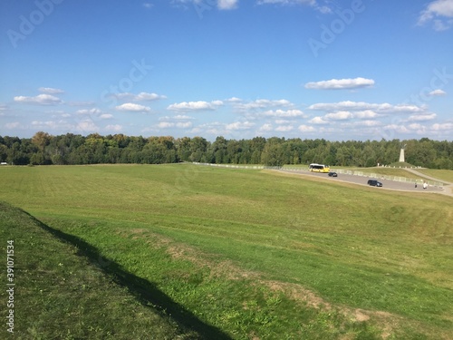 landscape with grass and trees