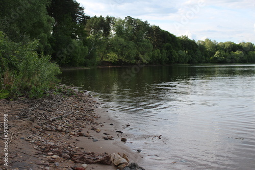 river in the woods