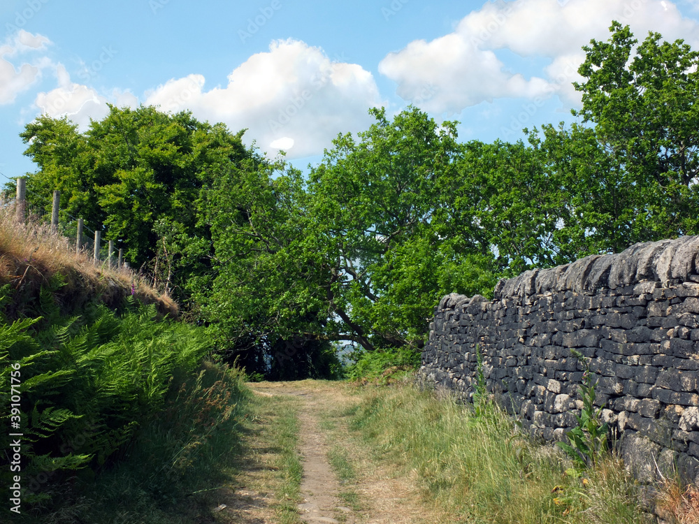 a narrow country lane running up a hill surrounded by stone walls and fences with grass and ferns