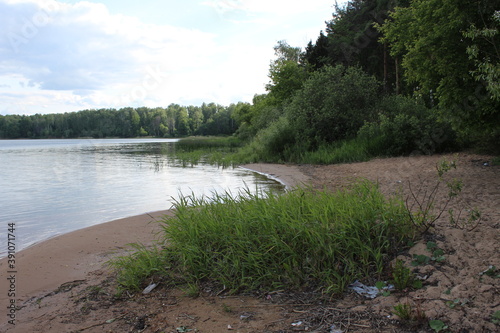 the river in the forest