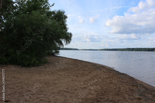 river in the forest