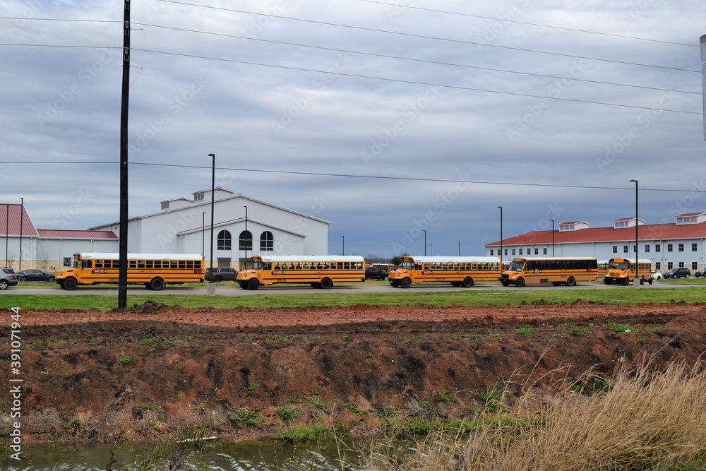 School buses on the countryside road, Texas
