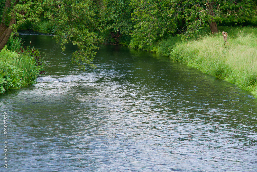 Obraz premium Greened rIver