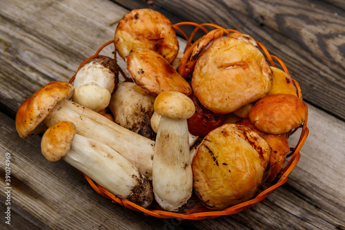 Freshly picked forest mushrooms in basket on rustic wooden table. Top view