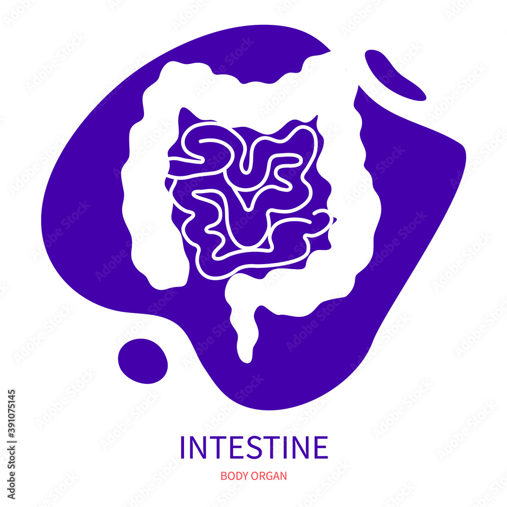 Large and small intestine digestive system icon. Body organ silhouette pictogram on abstract geometric splash. Human anatomy medical symbol. Vector illustration. Large and small intestine digestive system icon. Body organ silhouette pictogram on abstract geometric splash. Human anatomy medical symbol. Vector illustration.