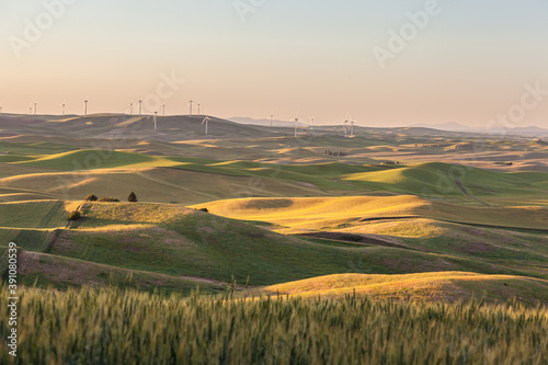 Wind Turbines farm in rolling wheat field in in Palouse region, Washington, USA. photo