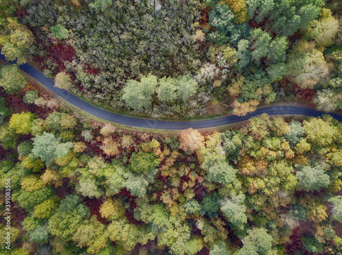 aerial view of a high altitude autumn forest with a mountain road running through it © Fernando