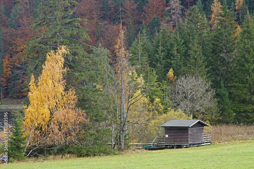 Herbstwald entlang des Erlaufsees bei Mariazell in Österreich photo