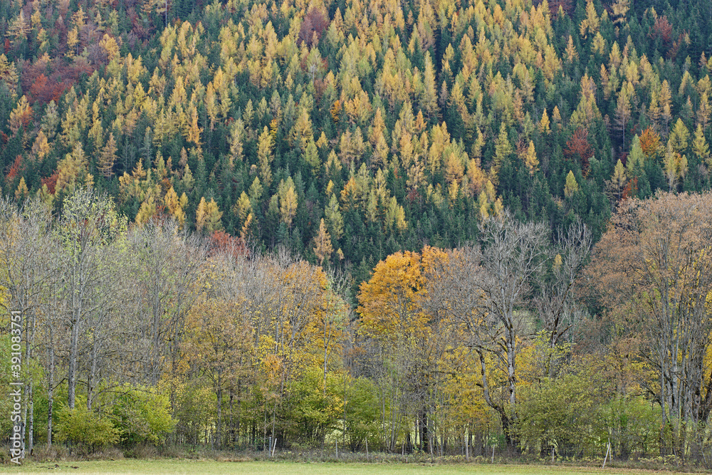 Herbstimpression am Erlaufsee bei Mariazell in Österreich