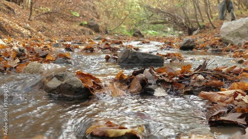 Stream running over small rocks in autumn forest, close up