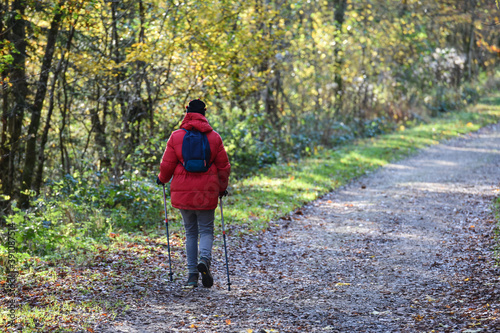 Belgique Wallonie automne nature foret femme seule solitude randonnée © JeanLuc