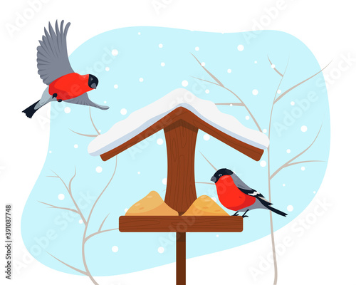 Bird feeder and two bullfinches in winter.