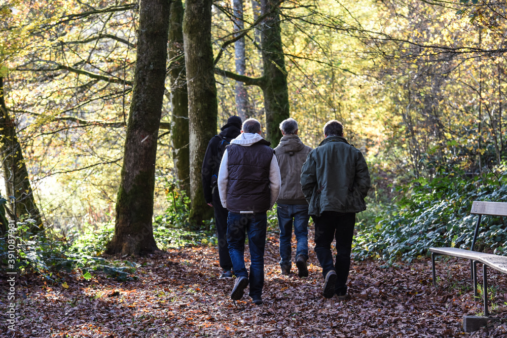 Belgique Wallonie automne nature foret groupe amis Belgique Wallonie automne nature foret groupe amis
