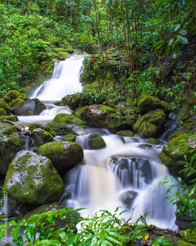 Cascading waterfall hidden deep in a valley forest on Oahu island in Hawaii. 