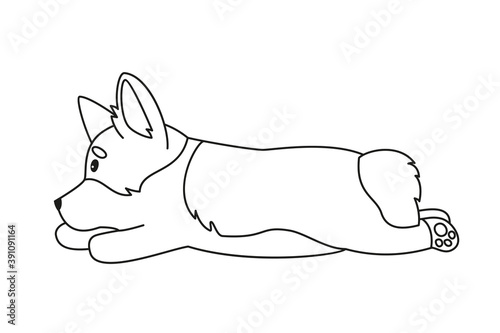 Cartoon welsh corgi on white background.