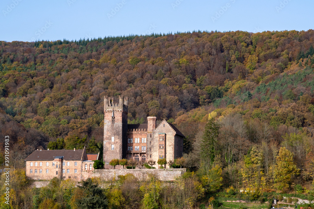 Castle in Neckarsteinach, Germany