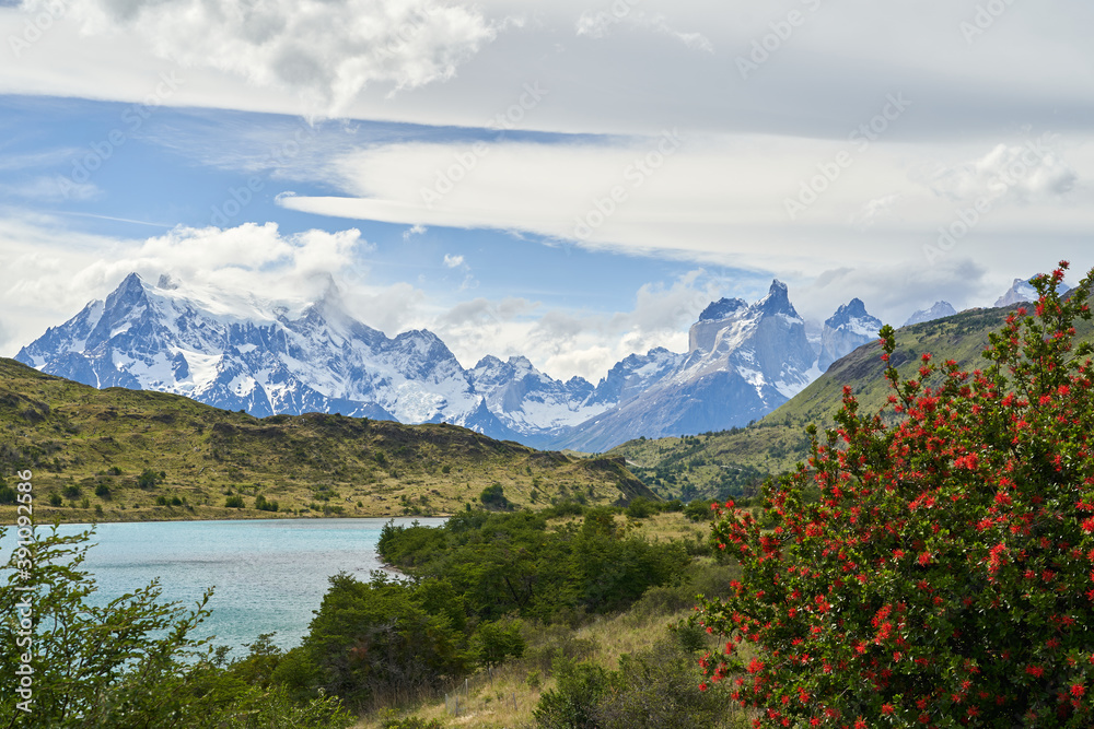 Cuernos, Horns of torres del paine covered with snow at torres del paine national park in the Andes of southern Chile in south America, towering over the turquoise water of lake Pehoe with firebushes