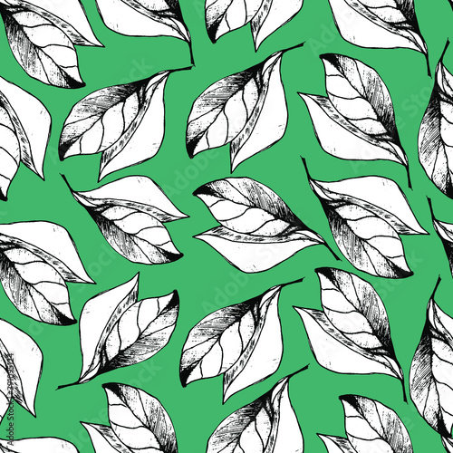 Background with beautiful leaves. Large leaves of magnolia. Coloring book for children and adults with delicate beautiful spring leaves. Background for textiles, wallpaper, paper, packaging.
