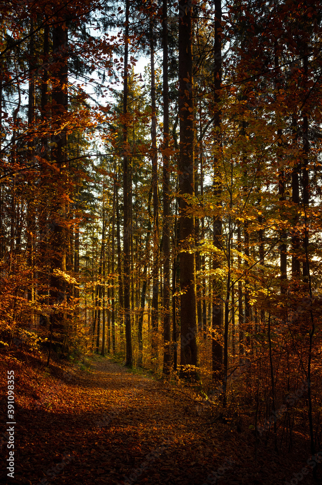 Goldener Herbstwanderweg
