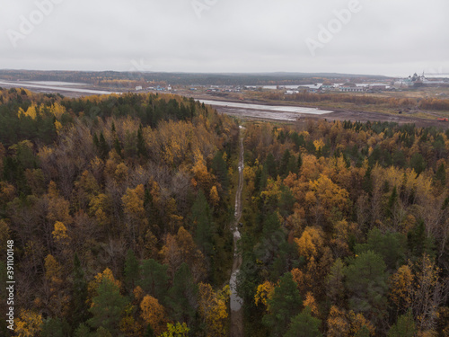 Forest road to the runway. Solovki