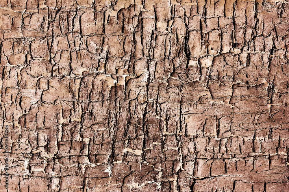 Cracked wood texture. Old peeling paint background. Grunge wooden wall background. Broken wood desk structure. Vintage board pattern design. Tree bark design. Vintage wood pattern. Cracked wood texture. Old peeling paint background. Grunge wooden wall background. Broken wood desk structure. Vintage board pattern design. Tree bark design. Vintage wood pattern.