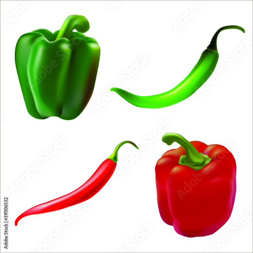 Vector realistic illustration of isolated red and green peppers. Drawing of bell peppers and hot peppers.