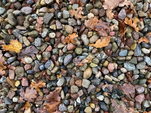 autumn leaves on the stones 