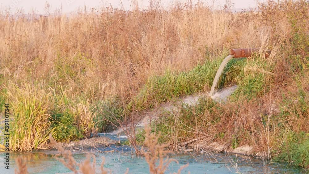 Dirty water flowing from a rusty pipe into the river. A lot of thick dry brown grass around Dirty water flowing from a rusty pipe into the river. A lot of thick dry brown grass around