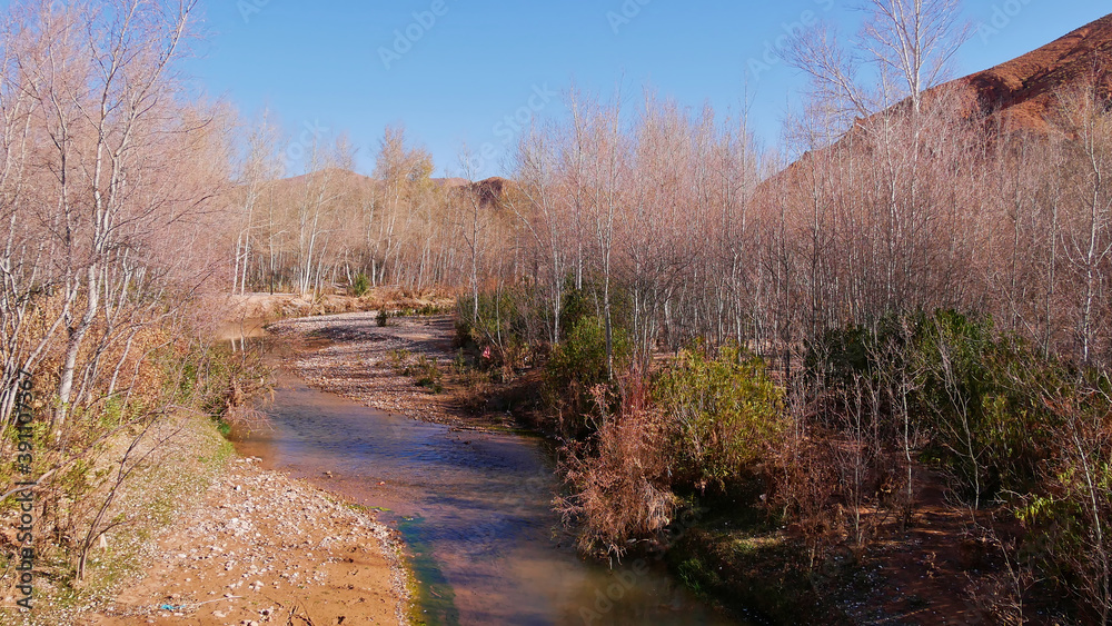 Small river flowing through Dadès Gorges near Boumalne Dadès, Morocco, Africa in winter time with bare birch trees on a sunny day with blue sky. Small river flowing through Dadès Gorges near Boumalne Dadès, Morocco, Africa in winter time with bare birch trees on a sunny day with blue sky.