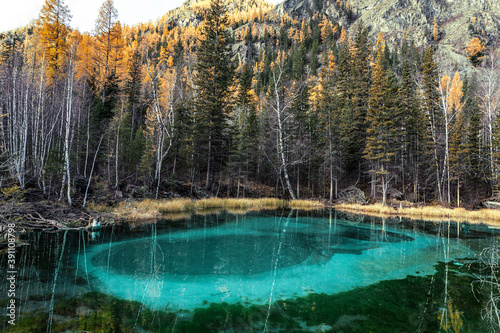 Turquoise thermal lake in Ulagan district near the village of Aktash in autumn. Altai Republic, Russia © vesta48