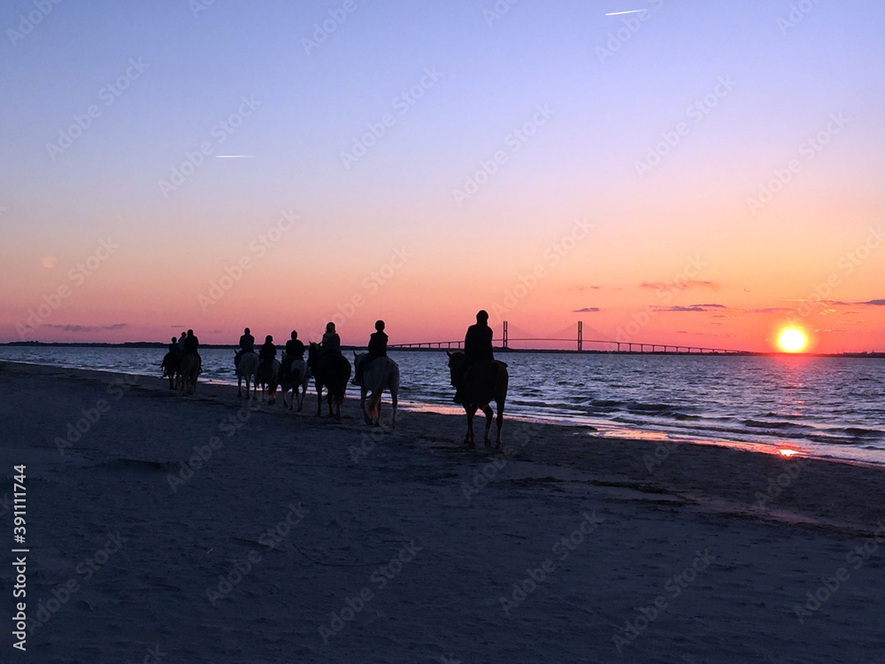 silhouette of a horseback ride on the beach at sunset silhouette of a horseback ride on the beach at sunset