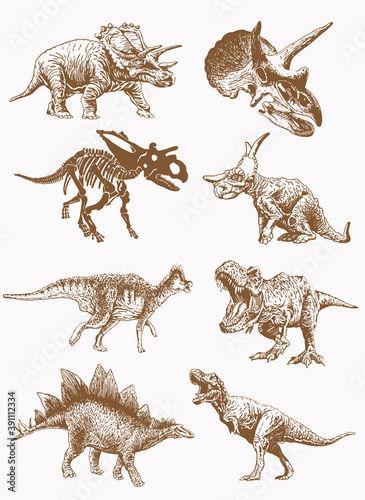 Graphical vintage set of dinosaurs , sepia background, vector illustration
