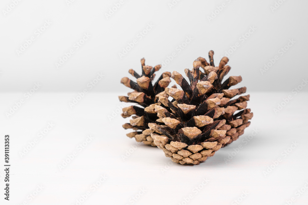 Brown pine cones isolated on the white table with copy space. Christmas decoration. Brown pine cones isolated on the white table with copy space. Christmas decoration.