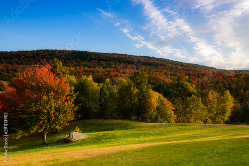 Canvas Print Kaaterskill forest by a fall afternoon