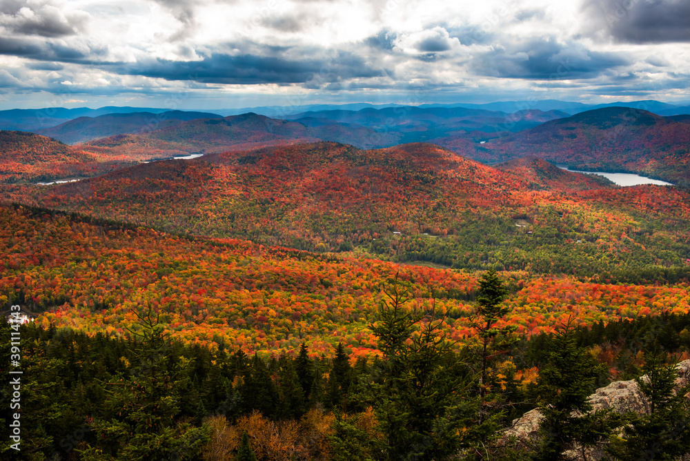 Adirondack forest at fall view from Crane mountain