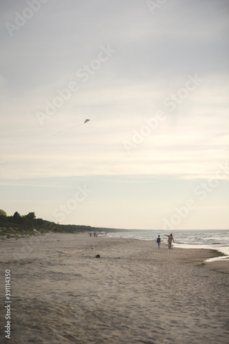 people with kite on a beach