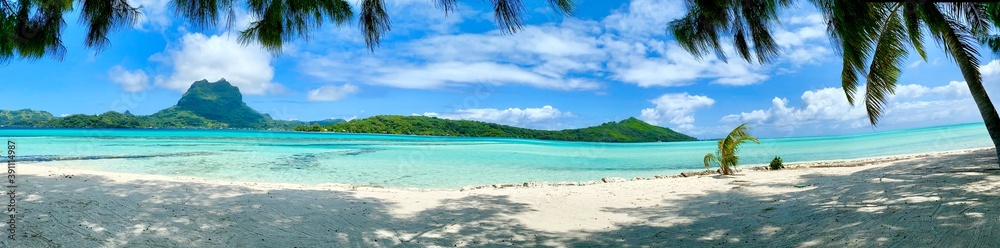 tropical island with palm trees