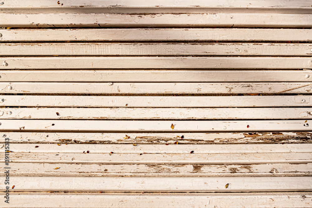 Obraz premium Bench - banco