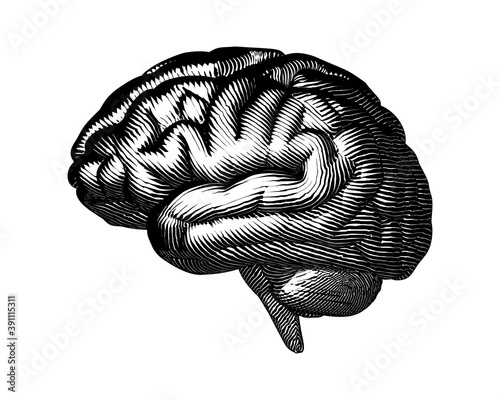 Black woodcut drawing brain isolated on white BG