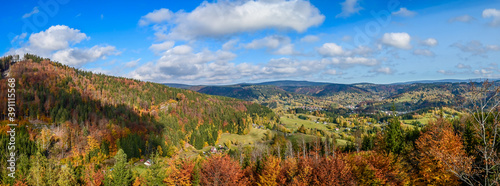 Panoramic photo of autumn forest landscape.