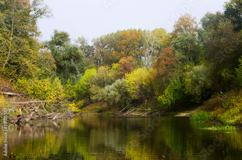 Autumn forest landscape along the banks of the river