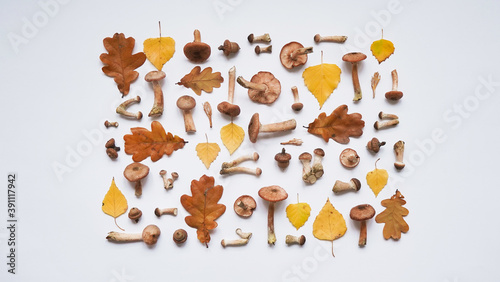 Beautiful seasonal autumn banner.Pattern of mushrooms honey agaric, yellow birch and brown oak leaves and acorns on white background, top view, flat lay. Vegetarian food. Copy space.