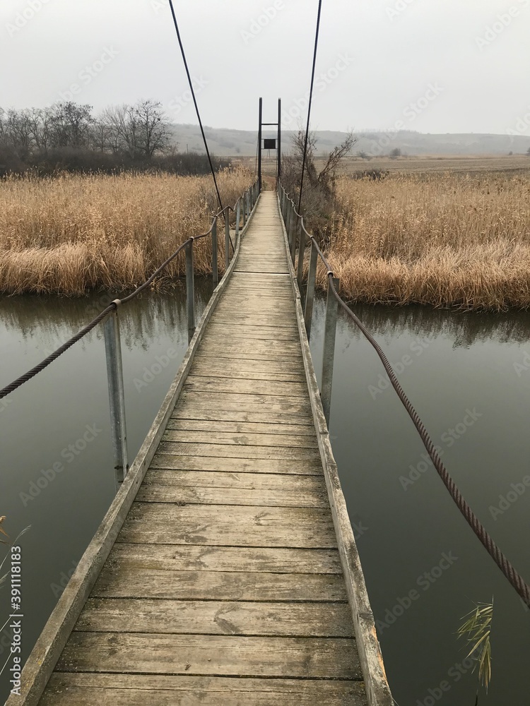Fototapeta premium bridge