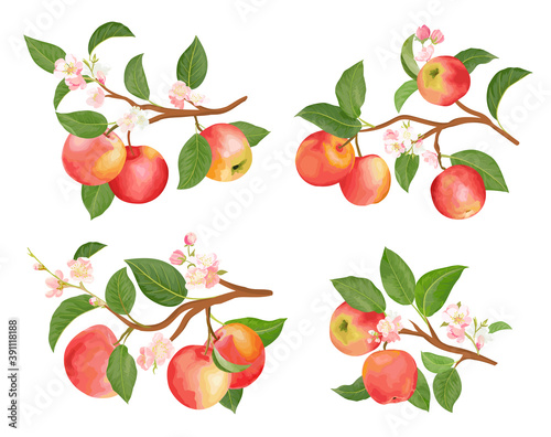 Watercolor apple branches, leaves and flowers for posters, wedding cards, summer banners