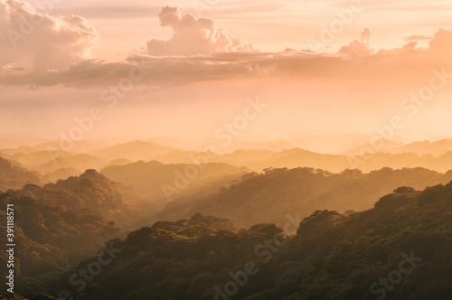 Landscape of a forest covered by mist and beautiful golden light at sunset