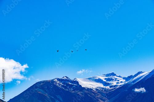 Birds flying in the blue sky © Ingmar